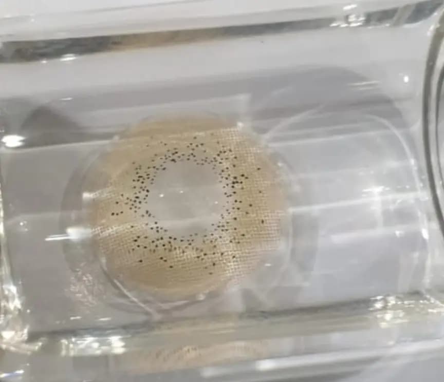 Freshlady Ocean Hazel