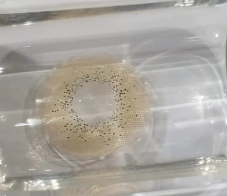 Freshlady Asian Series