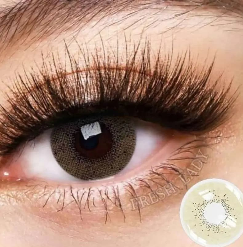 Freshlady Asian Series