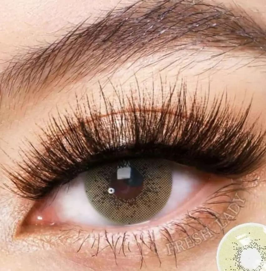 Freshlady Ocean Brown