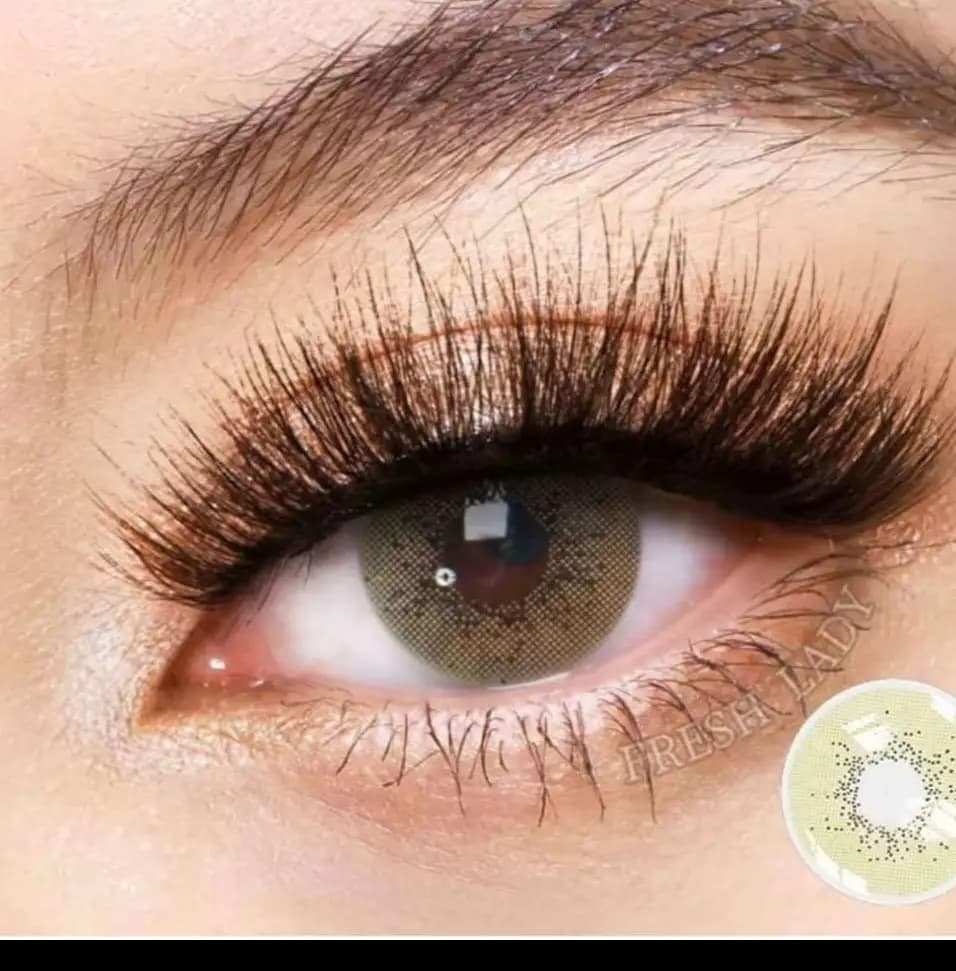 Freshlady Asian Series